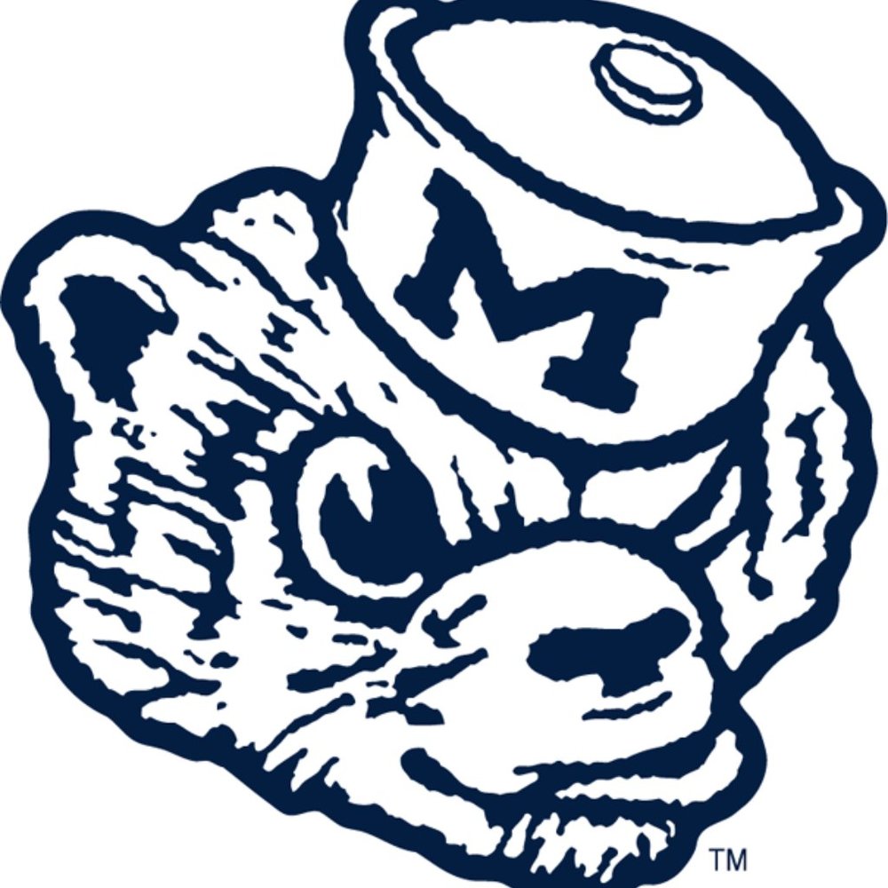 Vinyl Decal for Window - University of Michigan, Wolverine